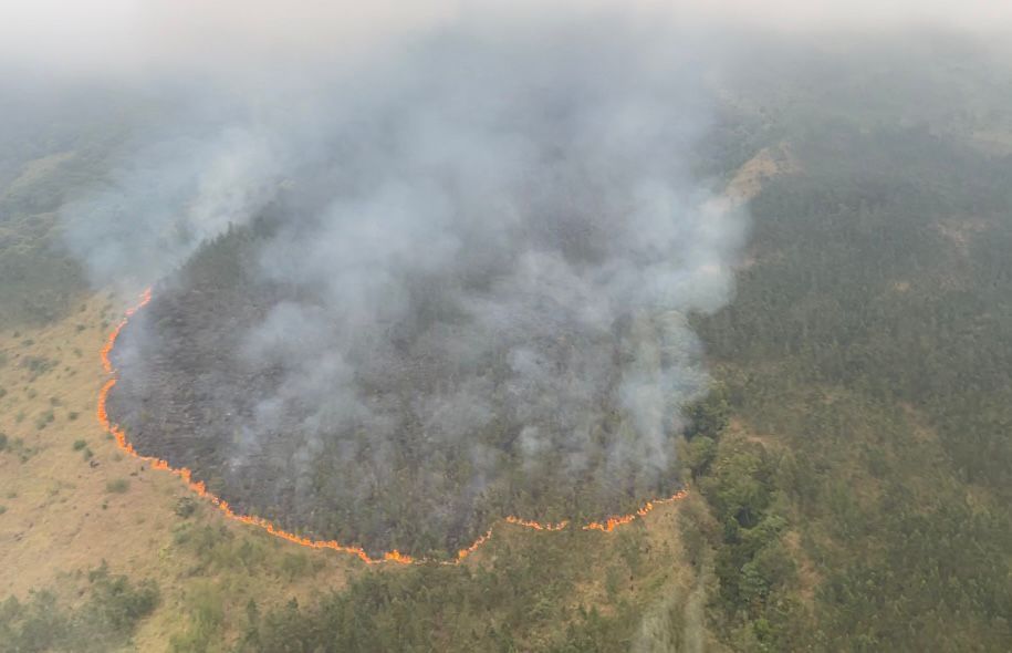 Kebakaran hutan dan lahan di gunung arjuno