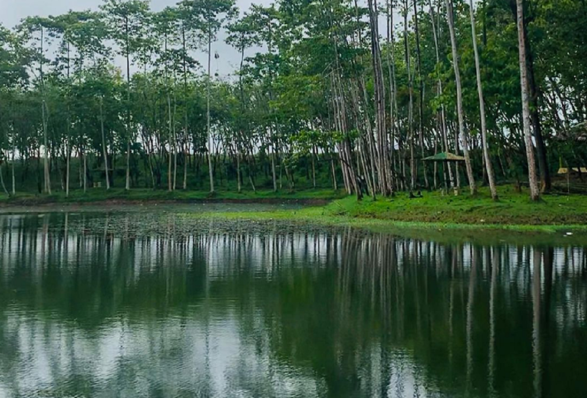 Misteri Waduk Kubangkangkung Kawunganten, Keajaiban Air Abadi di Tengah Angkernya Hutan Cilacap/Dok. Instagram.com @dhamayhatiy