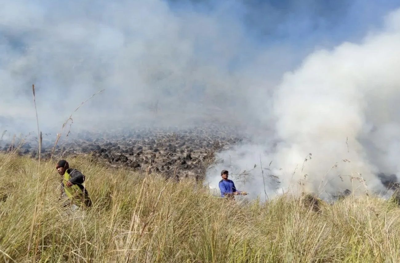 Petugas Balai Besar Taman Nasional Bromo Tengger Semeru berupaya memadamkan kebakaran yang terjadi di sabana di wilayah Kabupaten Malang, Provinsi Jawa Timur pada Rabu, 30 Agustus 2023.