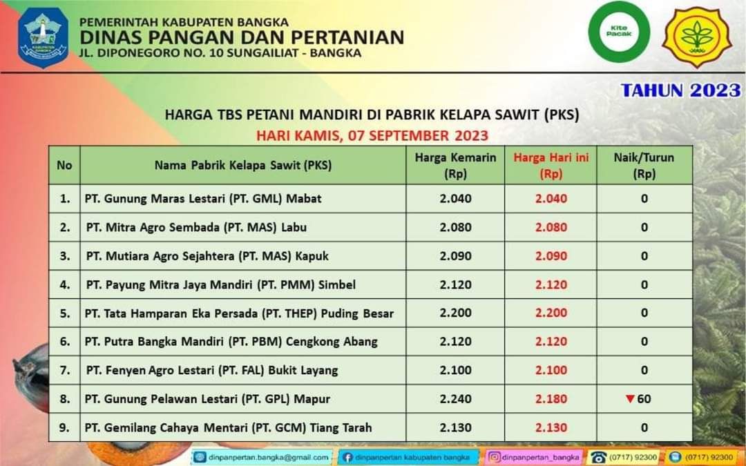 Berikut selengkapnya daftar harga TBS kelapa sawit Kabupaten Bangka hari ini, Kamis, 7 September 2023 ditingkat PKS.