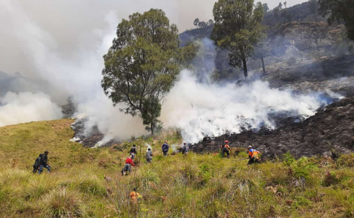 Kebakaran di Bukit Teletubbies Belum Padam Usai Pasangan Prewedd Nyalakan Flare