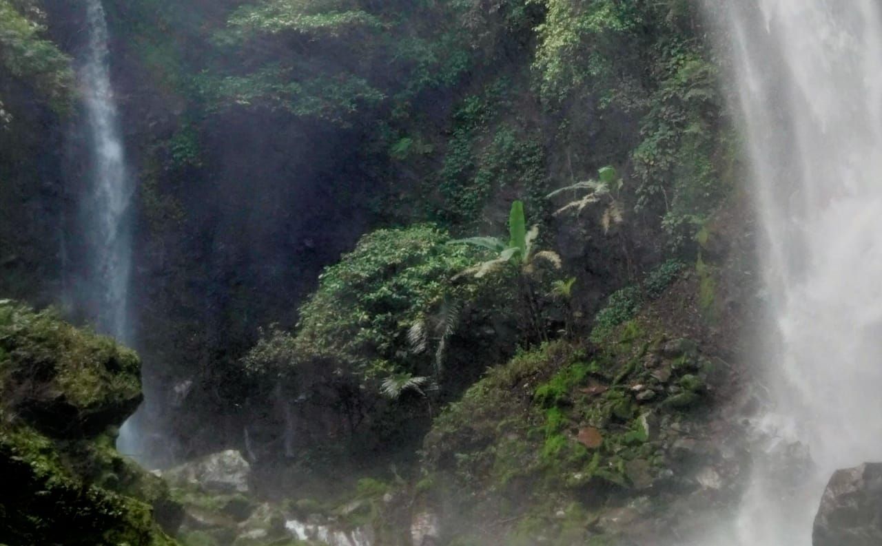 2 keindahan Curug Badak Batu Hanoman yang dikelilingi tumbuhan hijau/