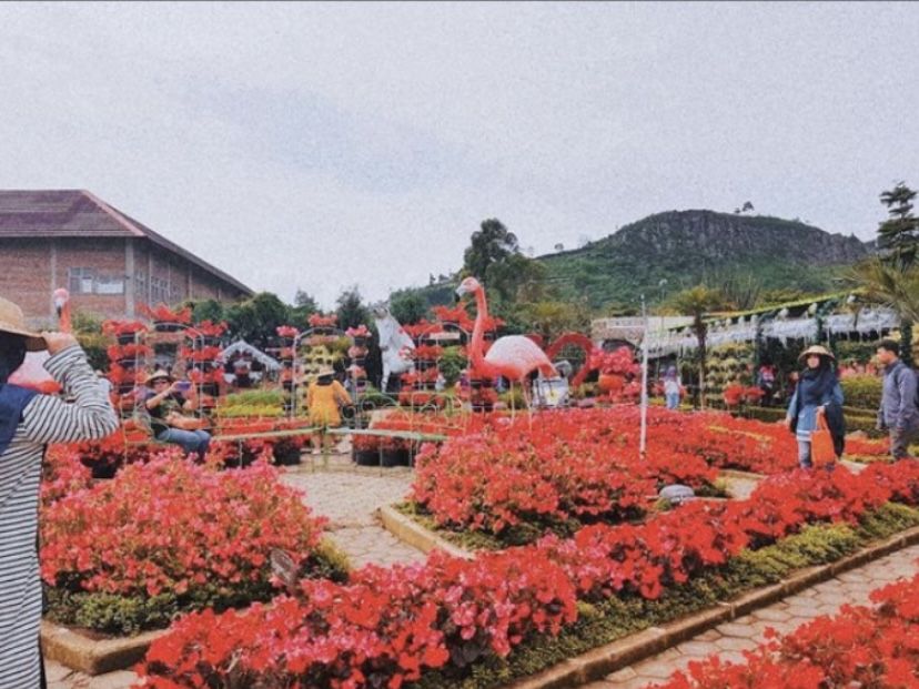Taman Begonia destinasi wisata di Lembang
