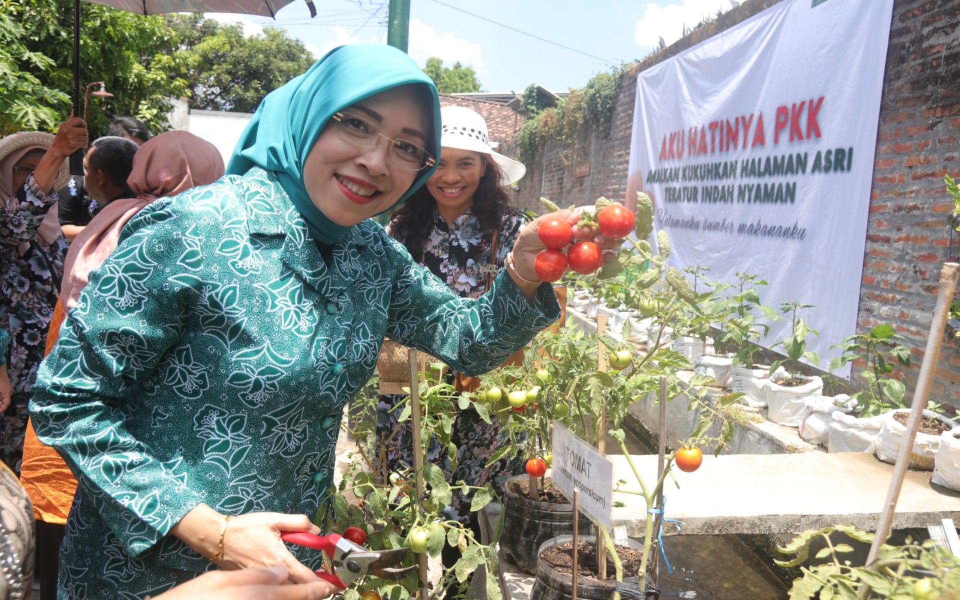 Ketua Penasehat TP PKK Kota Yogyakarta Atik Wulandari ikut memanen hasil tanamam warga Sorosutan yang terlihat segar dan sehat