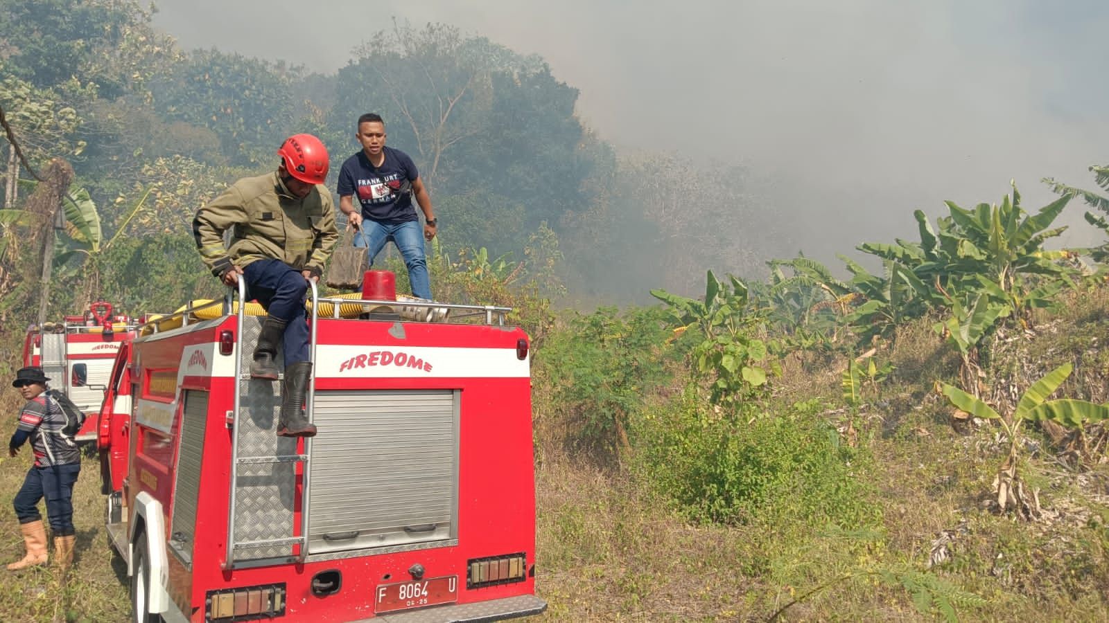 Lahan Alang - alang Dekat Perum Tamansari Palabuhanratu Terbakar, Api Menjalar ke Gunung Jayanti