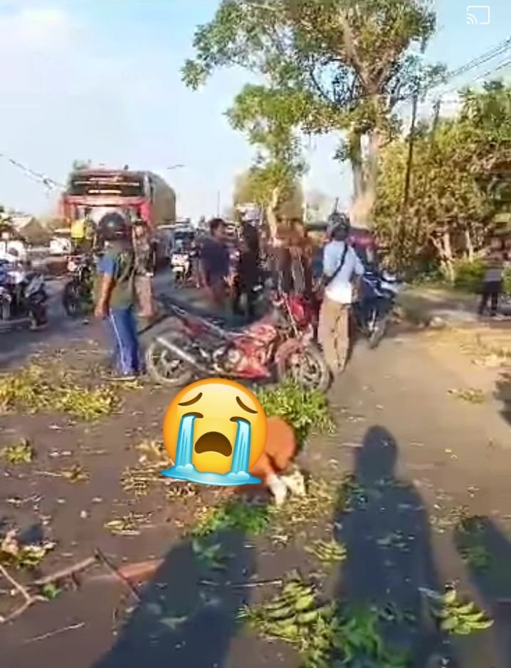 Pengendara motor yang tertimpa pohon di pingir jalan ringroad kota Madiun meninggal dunia di lokasi kejadian, Kamis 21 September 2022