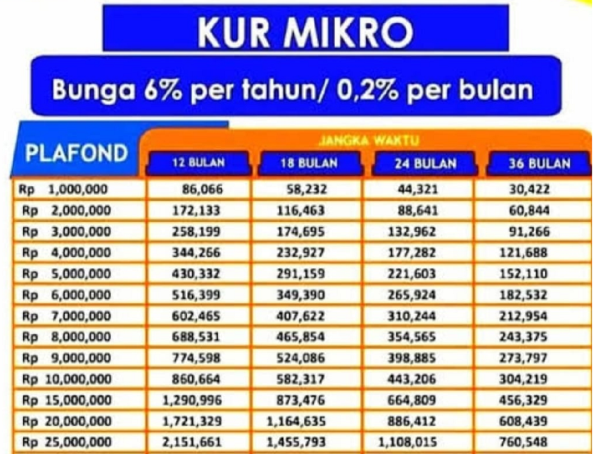 Cek Tabel Pinjaman KUR BRI 2023 Terbaru/Dok. BRI