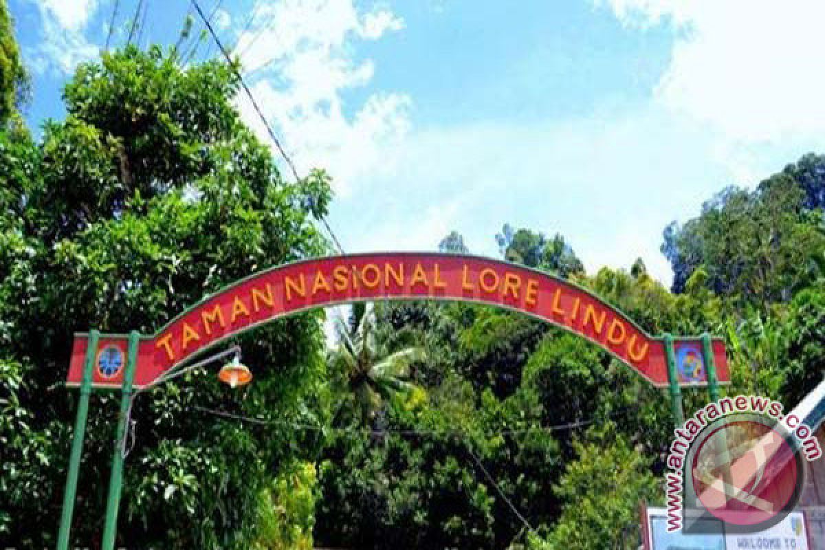 Taman Nasional Lore Lindu di Sulawesi Tengah