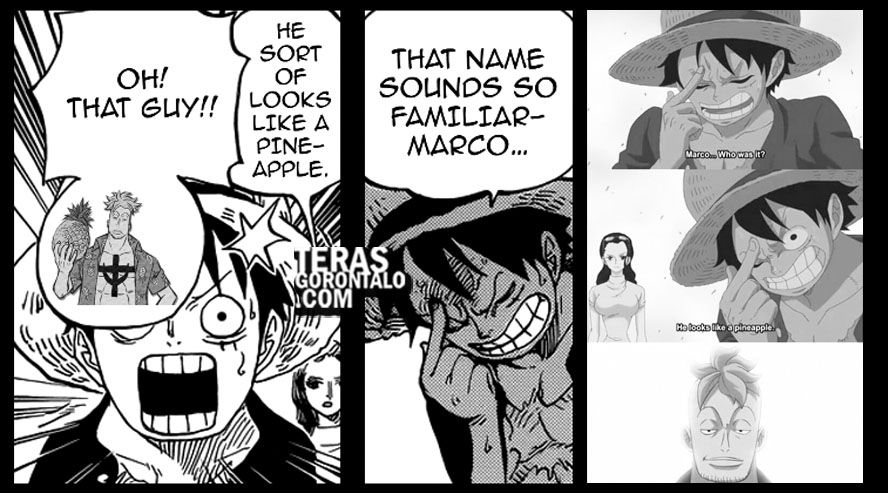 Selain Kru Topi Jerami, Eiichiro Oda Ungkap 11 Karakter One Piece yang Juga Mendapat Panggilan Konyol dari Monkey D Luffy