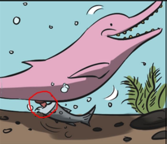 Lumba-lumba melakukan masturbasi dengan ikan.