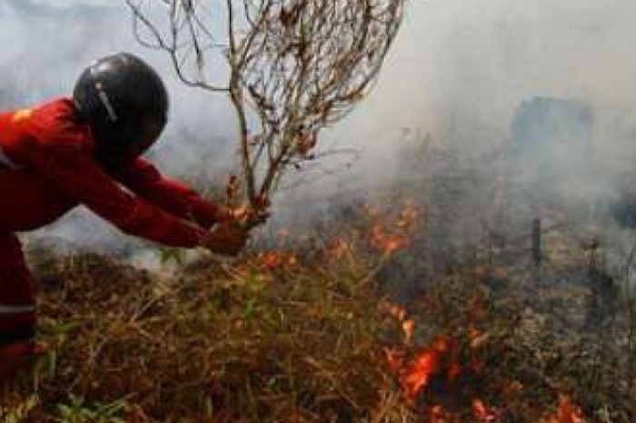 Petugas Damkar saat melakukan upaya pemadaman kebakaran lahan di lahan pertanian di Sumedang 