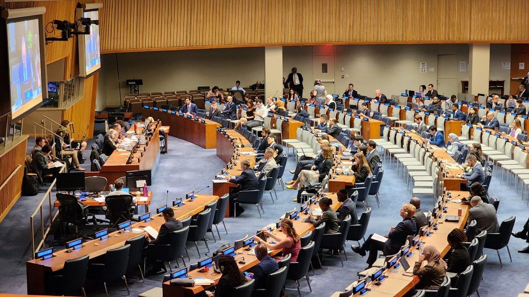 Sidang Komite 4 Majelis Umum Persatuan Bangsa Bangsa (PBB), di New York. Foto: Istimewa