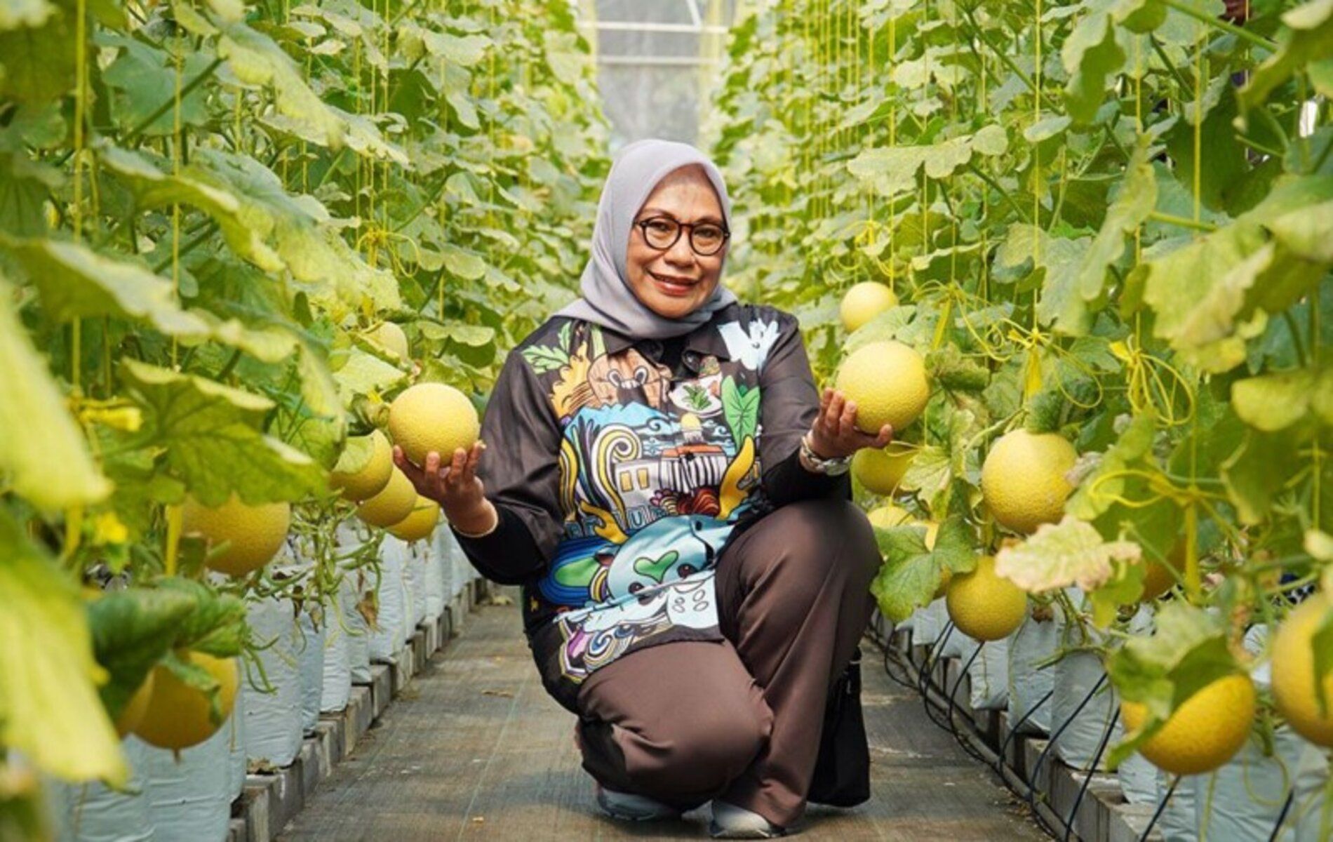 Sekda Kota Bogor Syarifah Sofiah berada di perkebunan melon Made Fresh, Kelurahan Cimahpar, Kota Bogor.