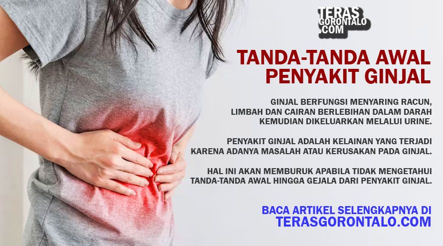 Penyakit ginjal adalah kelainan yang terjadi karena adanya masalah atau kerusakan pada ginjal. Berikut tanda-tanda dan gejala awalnya