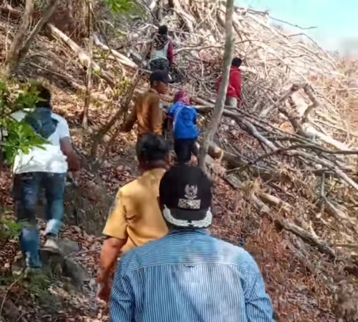 Camat Belo dan keempat Kades turun survey lokasi pembabatan hutan