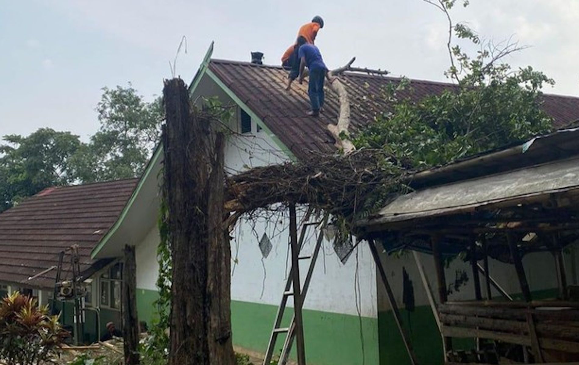 Petugas sedang membersihkan puing pohon tumbang di sebuah SD akibat angin kencang melanda Kabupaten Bogor.