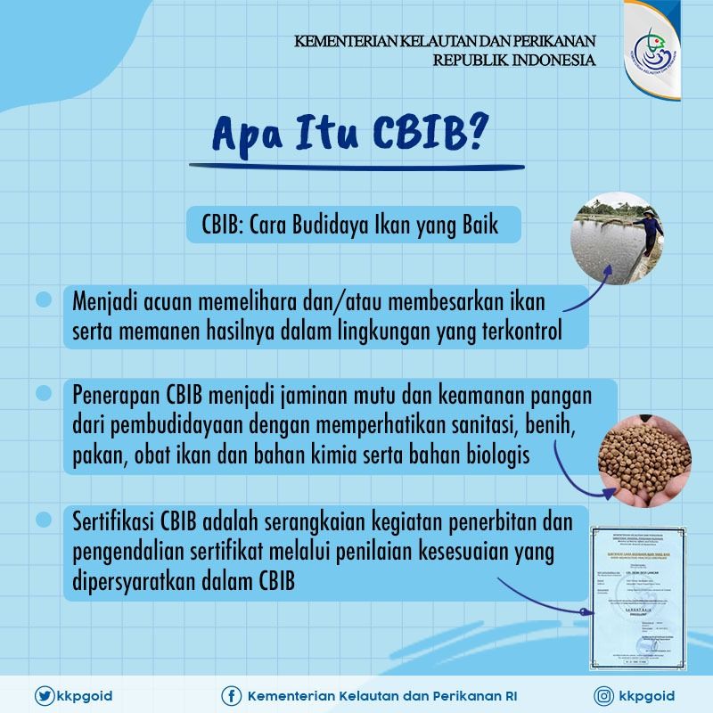Informasi CBIB