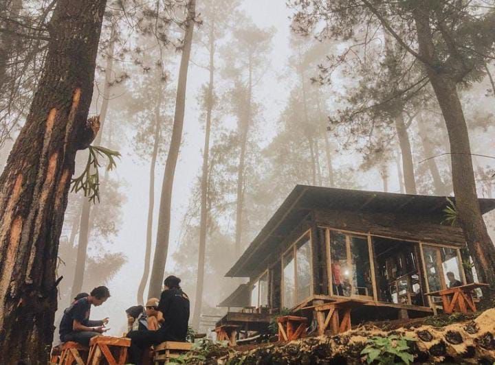 Suasana cafe Kopi Sarasa di Tasikmalaya dengan nuansa alam hutan pinus yang estetik/