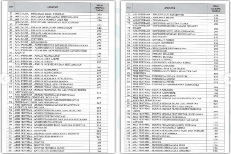 Cek daftar nilai ambang batas seleksi kompetensi teknis pengadaan PPPK untuk jabatan fungsional tahun 2023.