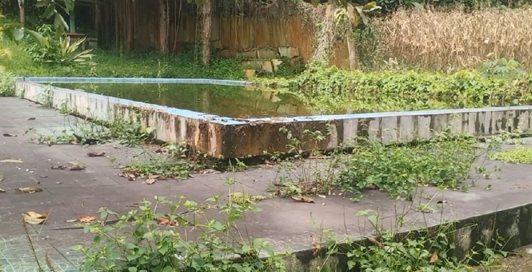 Salah satu sudut kolam Taman Hutan Kota yang berlumut dan hanya jadi sarang nyamuk