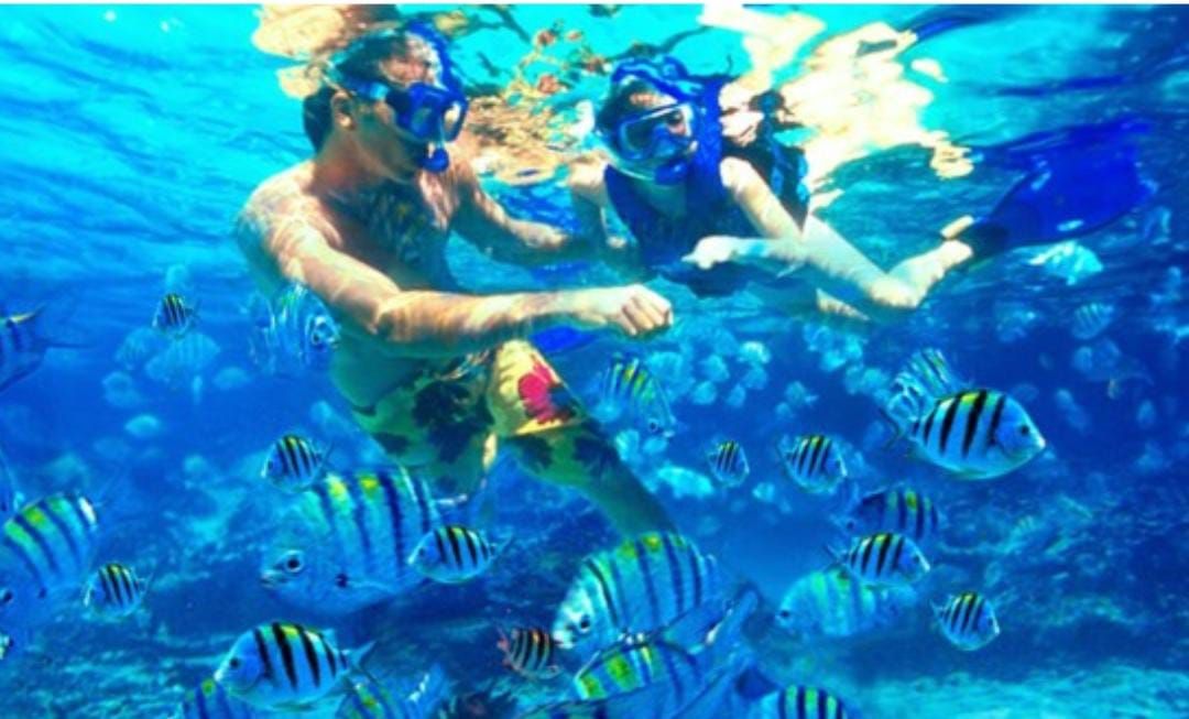 Snorkeling Dan Diving, rekomendek teruntuk hobiis berburu foto-foti ikonik nan isntagramable