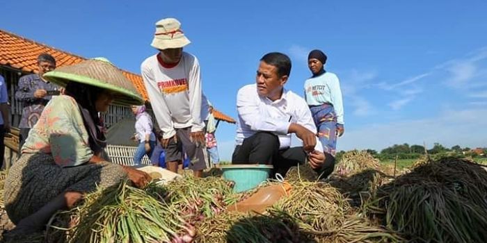 Profil dan harta kekayaan Amran Sulaiman, Menteri Pertanian gantikan Syahrul Yasin Limpo