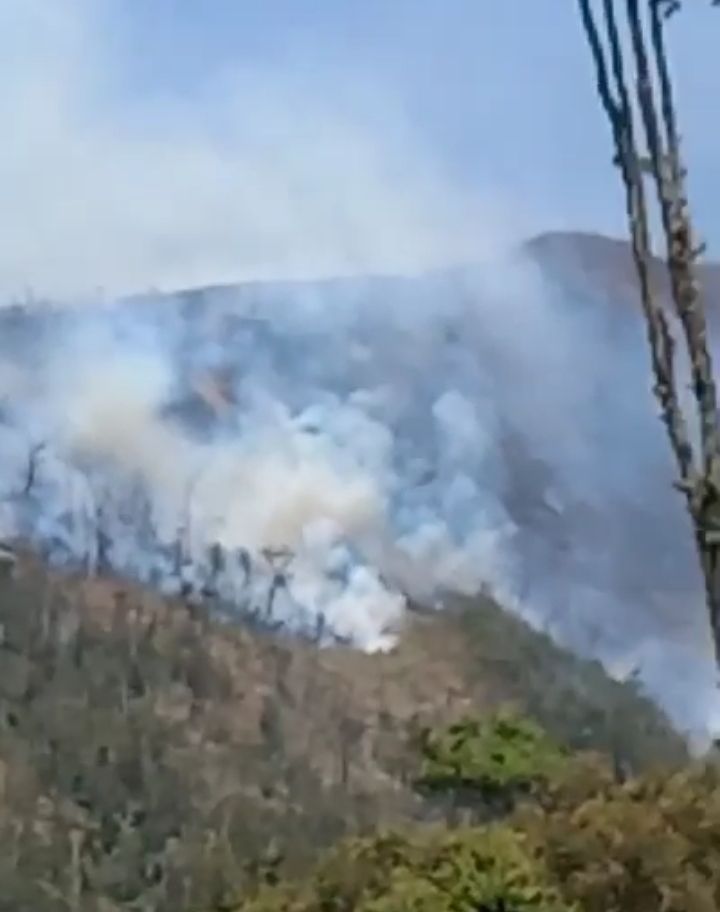 Kebakaran yang terjadi di Gunung Papandayan Garut.