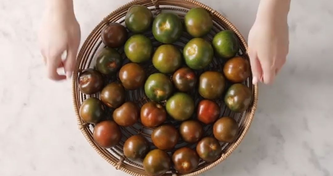 Tomat kumato, varietas jenis tomat terpopuler di Indonesia/tangkapan layar YouTube/channel Petani Caraku Caramu 