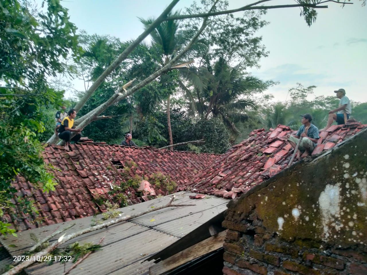 Angin kencang mengakibatkan pohon albasia tumbang menimpa dua unit rumah di Dusun Sagaramaya RT 014 RW 004 Desa Sukanagara Kecamatan Jatinagara Kabupaten Ciamis, Minggu 29 Oktober 2023 pukul 17.00 WIB.*/Kabar Priangan/FK Tagana Ciamis