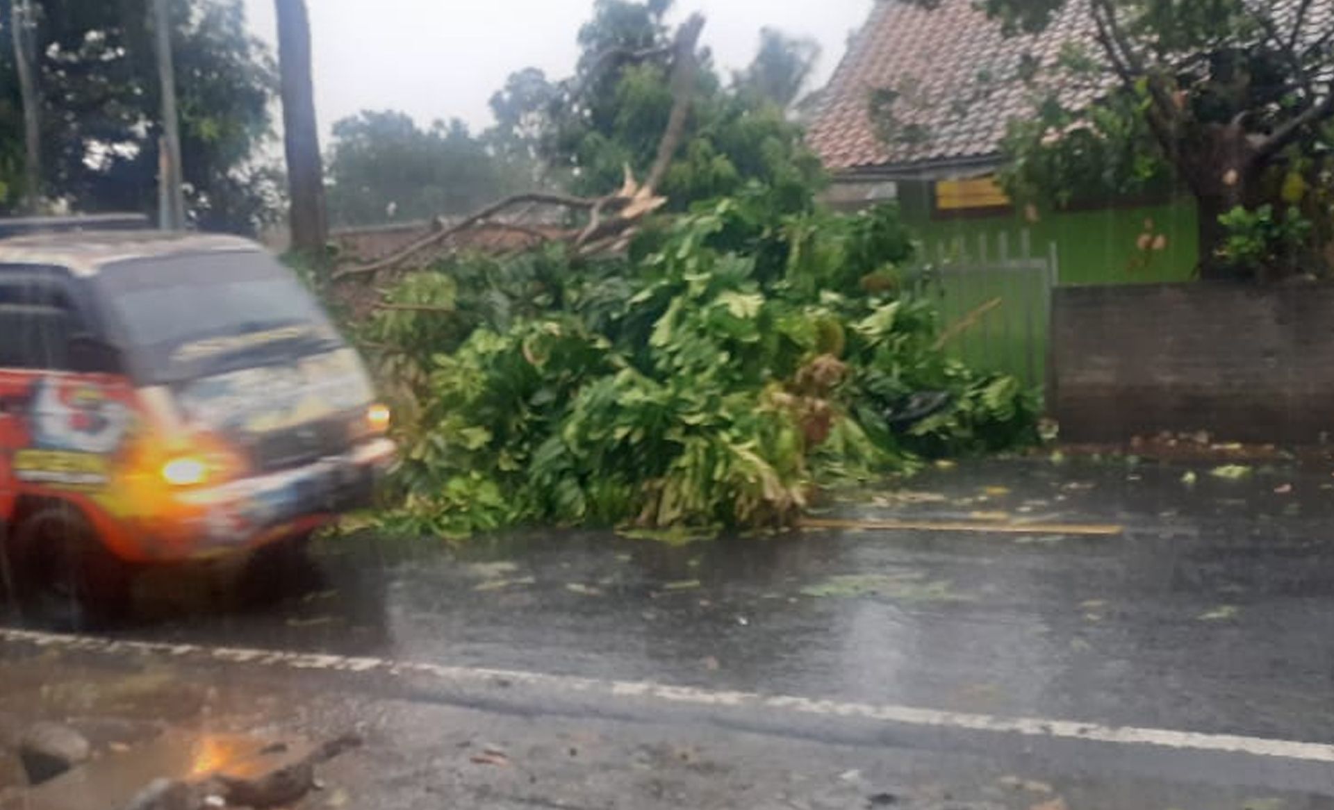 Pohon tumbang di Leuwikuray Kutawaringin Bandung