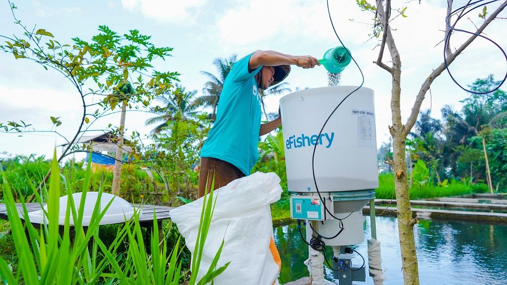 KoinWorks dan eFishery memberikan bantuan keuangan kepada pembudidaya ikan, melalui program Kabayan. Foto: eFishery 