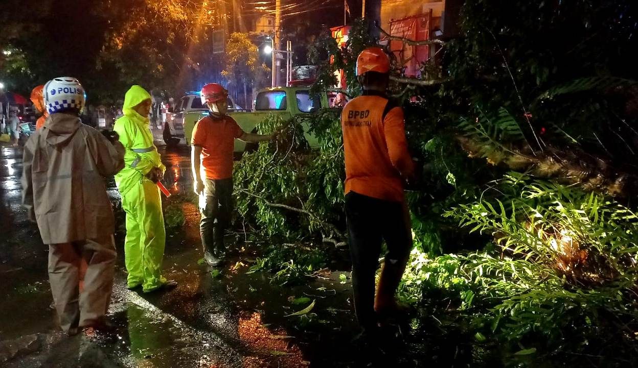 Penanganan pohon tumbang yang terjadi di Jalan MT Haryono, pada Rabu, 1 November 2023.