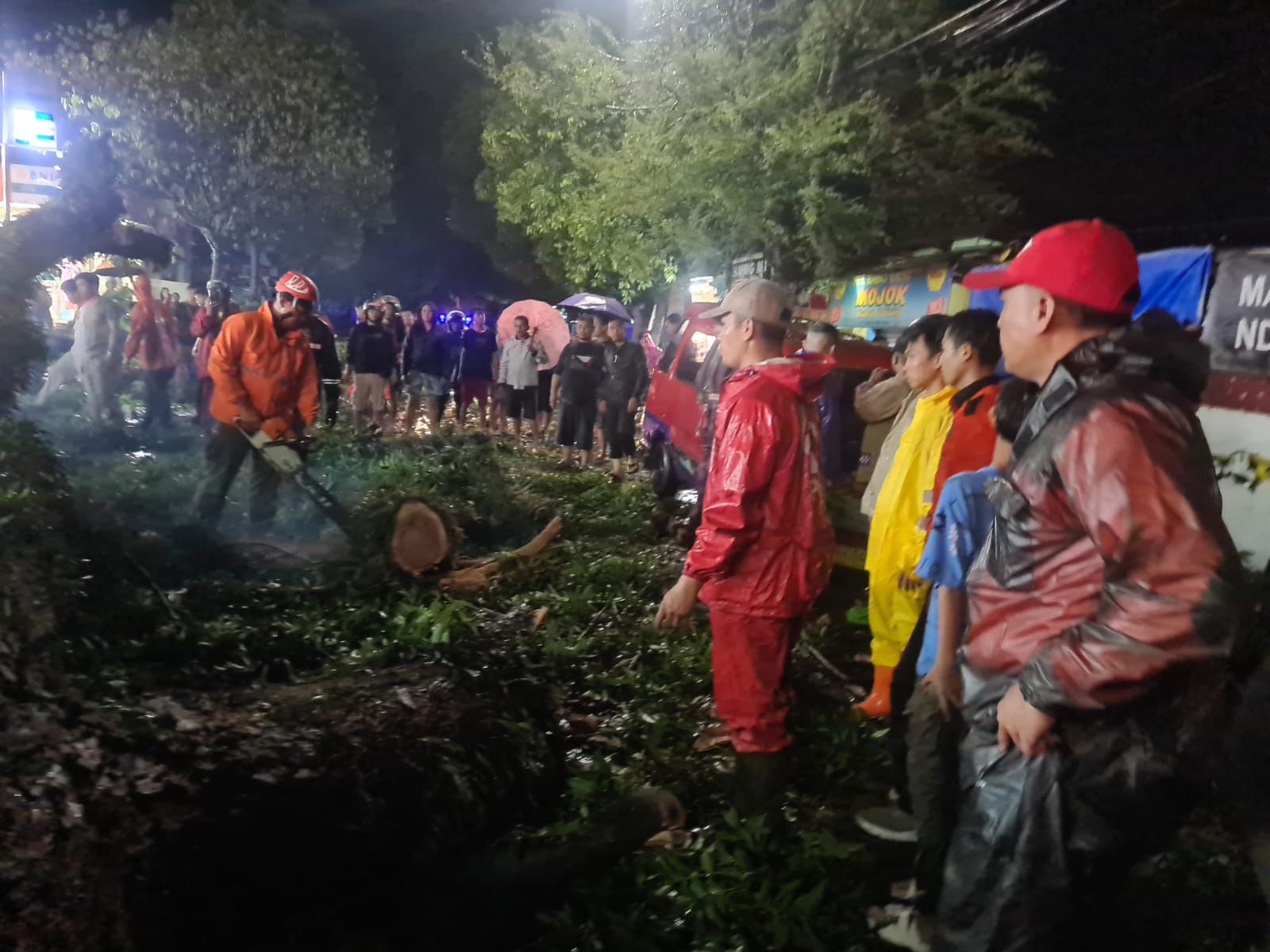 Petugas melakukan penanganan pohon tumbang di Jl. Arif Rahman Hakim (depan Departemen Yogya Store) mengakibatkan 6 orang luka dan 3 unit mobil tertimpa, Sabtu 4 November 2023.