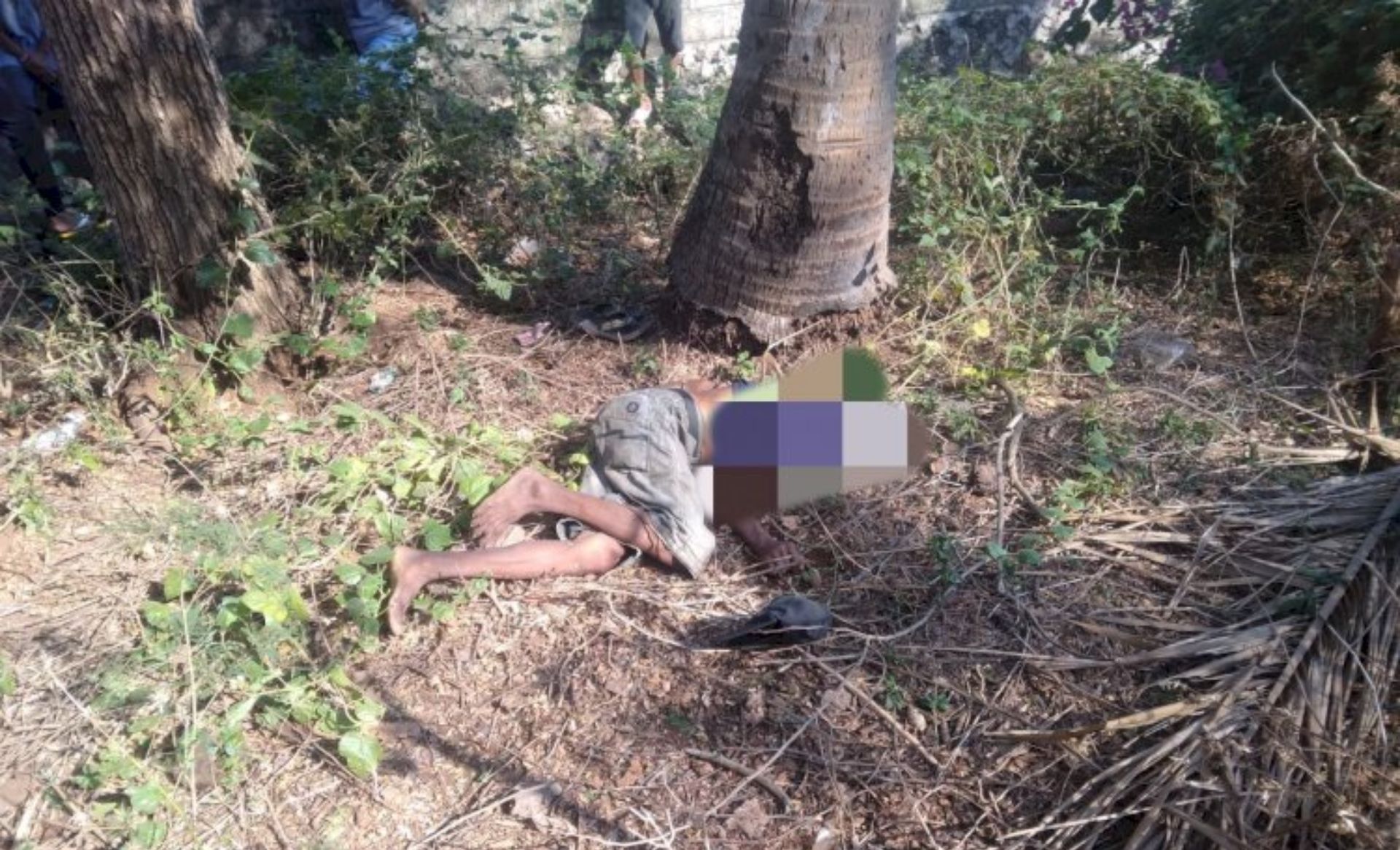 Tampak jenazah pria paruh baya di bawah pohon kelapa yang ditemukan di Penfui, Kupang Kota, Jumat (10/11/2023).//
