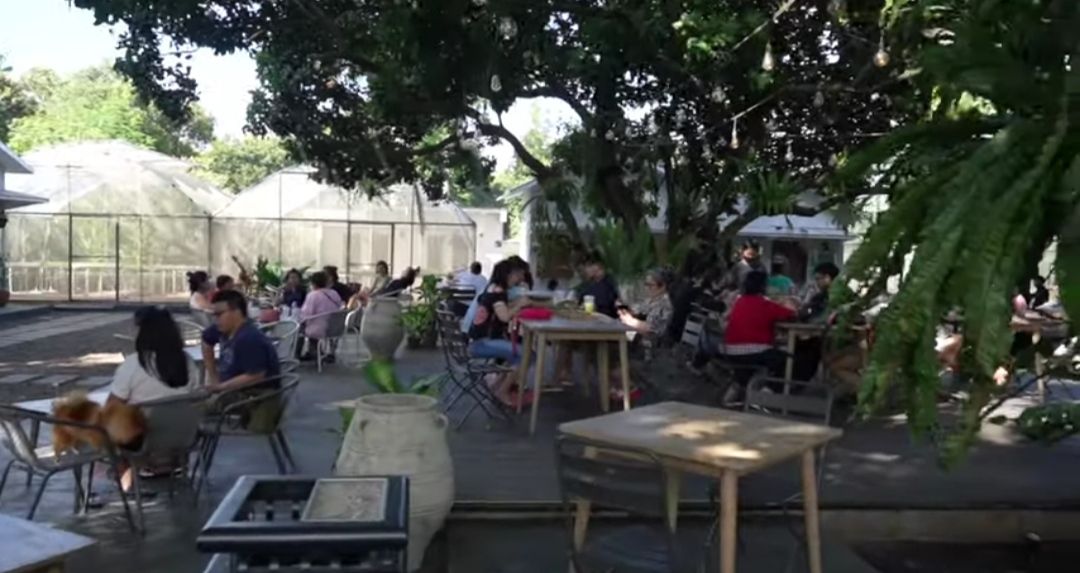 Kopi Kebon Kita, cafe dan rumah makan asri estetik di Kabupaten Tangerang Banten/tangkapan layar YouTube/Fifi Yulianti Channel