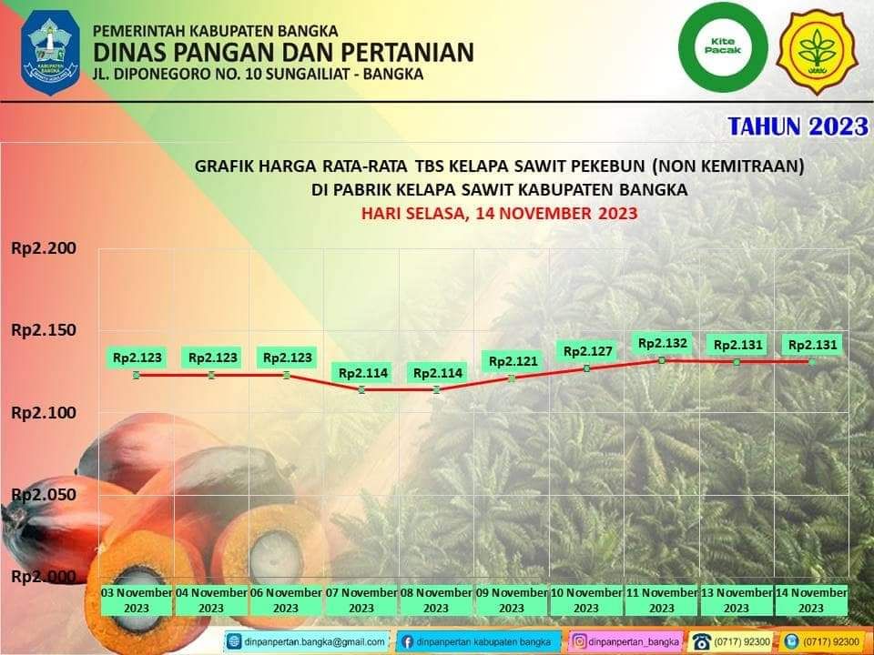 Grafik Harga TBS Kelapa Sawit Kabupaten Bangka Periode 13 14 November 2023