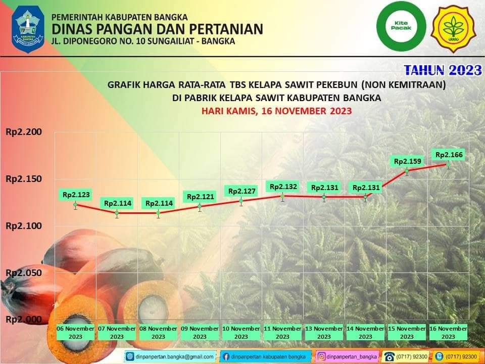 Grafik Harga rata-rata TBS Kelapa Sawit Kabupaten Bangka Periode 15 16 November 2023