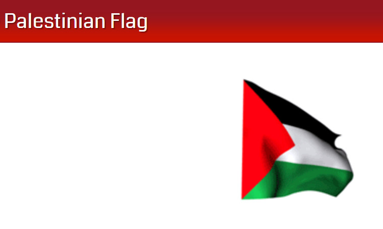 Bendera Negara Palestina.*