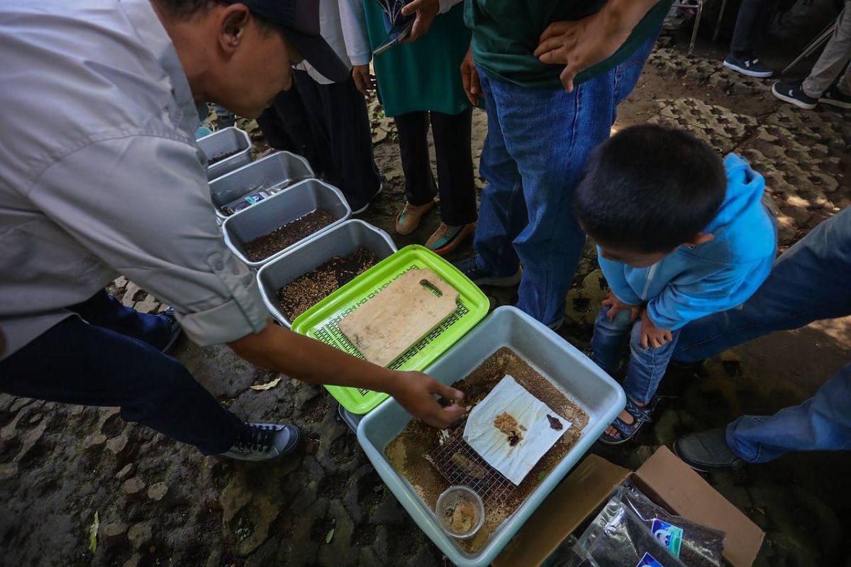 Tangani Sampah Organik, Pemkot Bandung Siapkan Hanggar Maggot di 151 Kelurahan dan TPS Gedebage