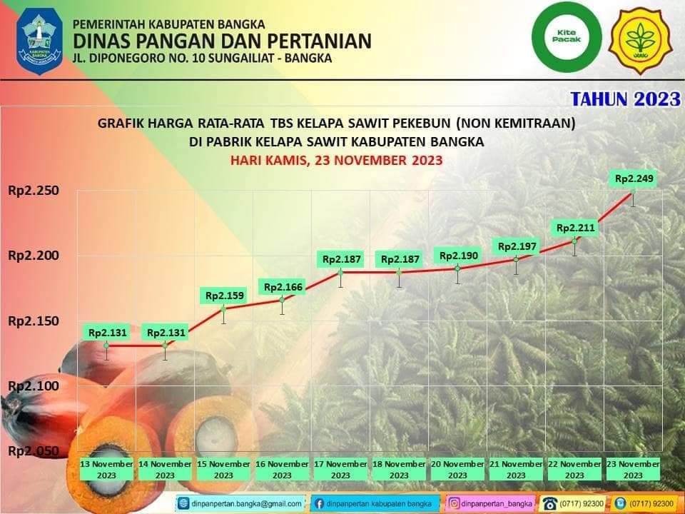 grafik harga rata-rata TBS kelapa sawit Kabupaten Bangka Kamis, 23 November 2023