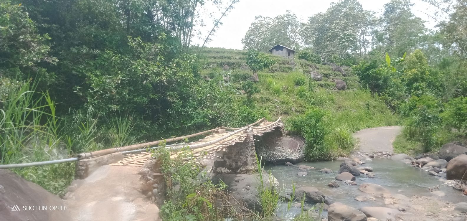Kondisi jembatan bambu di kampung Lebo, Manggarai Timur/DeranaNTT/Mulia Donan 