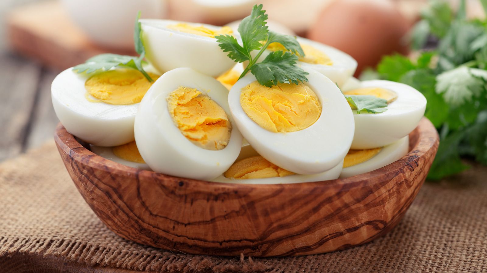Mengupas Manfaat Telur untuk Kesehatan: Protein Tinggi dan Nutrisi Optimal
