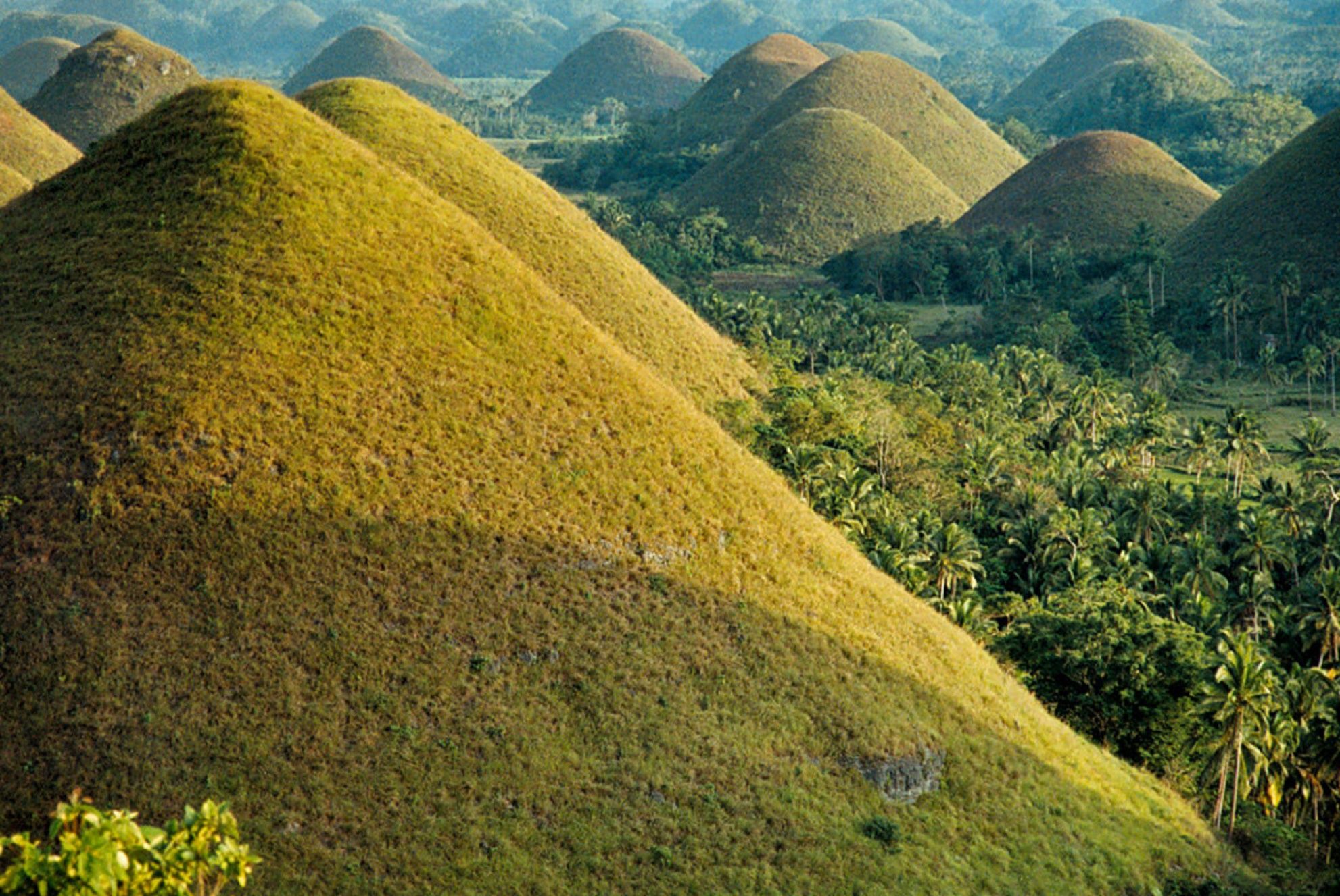 Destinasi wisata Chocolate Hills di Filipina