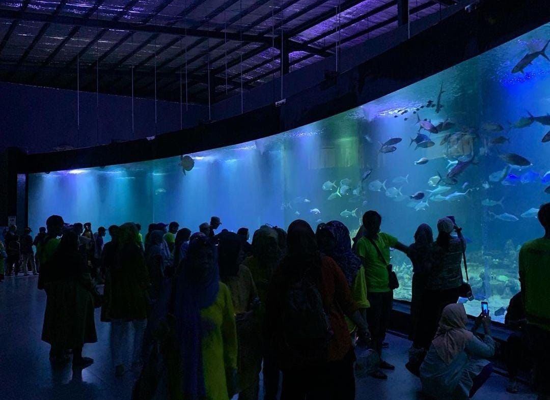 Suasana di dalam Aquarium Indonesia yang ada di Kabupaten Pangandaran/Instagram/gigihzein