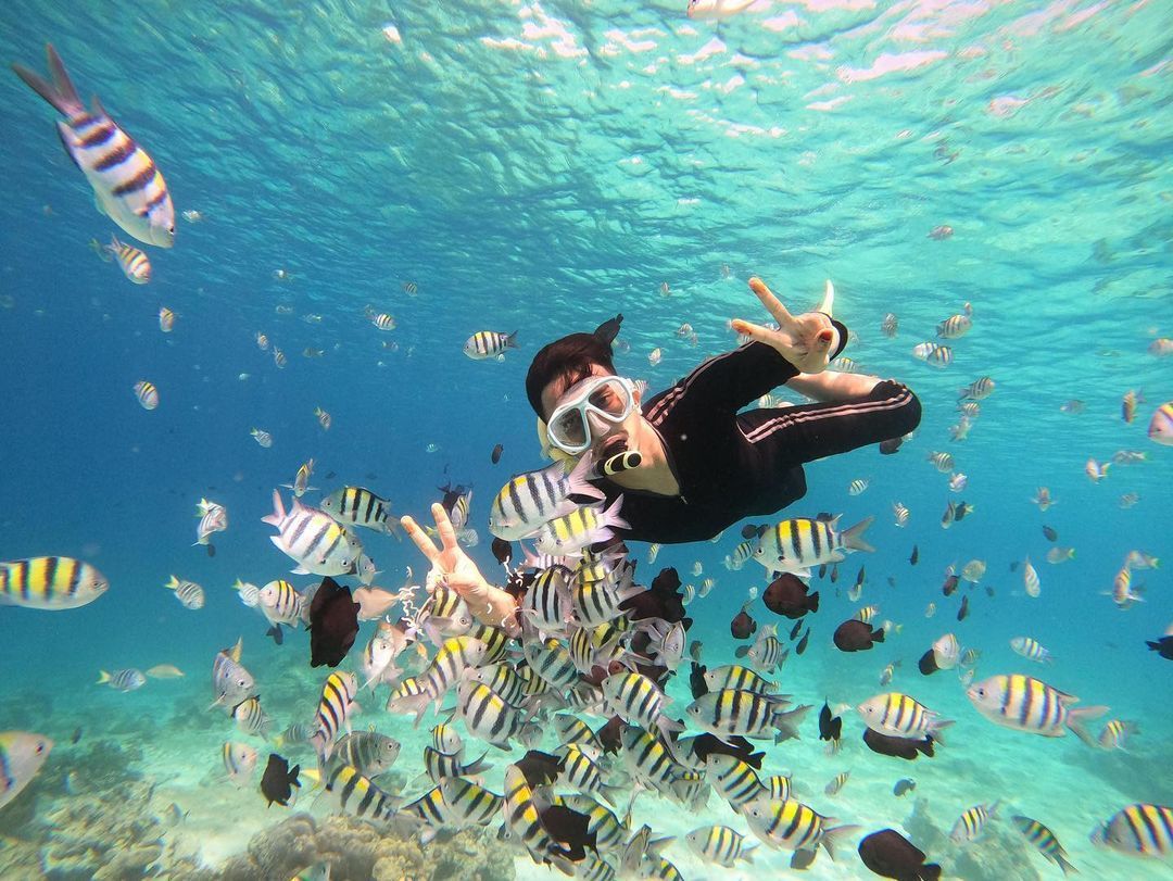 Ilustrasi Snorkeling di Pulau Rubiah Iboih Sabang / Instagram / @riski_sabang