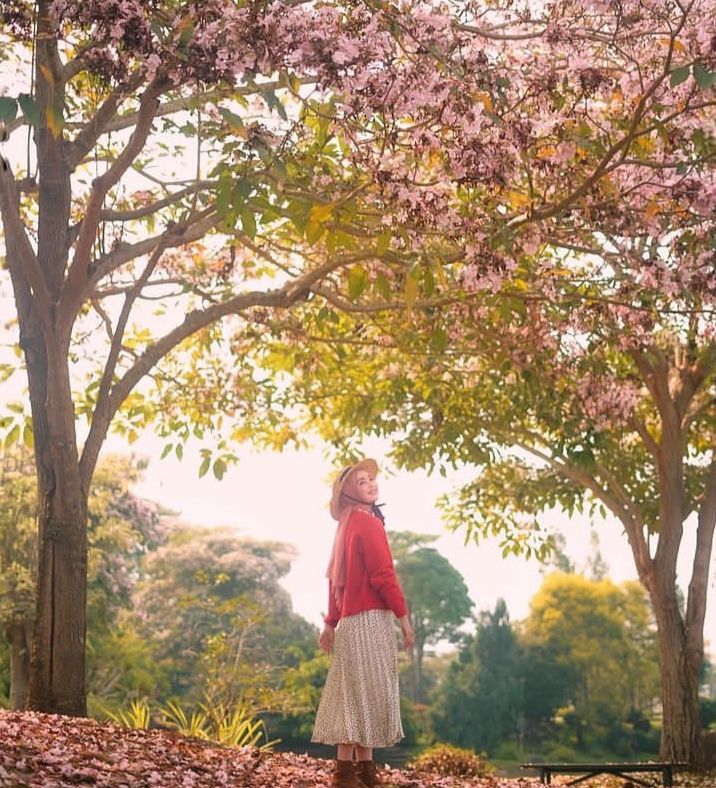 Taman Bunga Nusantara menawarkan beberapa spot foto yang menarik dengan latar hamparan bunga berwarna-warni yang begitu indah
