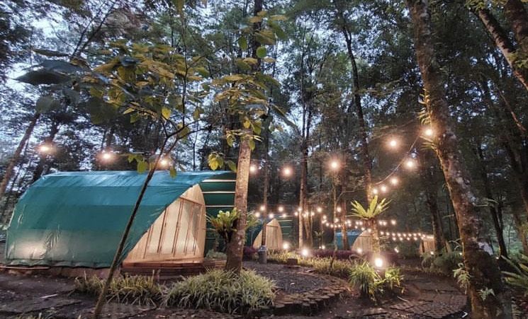 Hejo Forest Tempat camping dan berendam air panas di Ciwidey Bandung. 