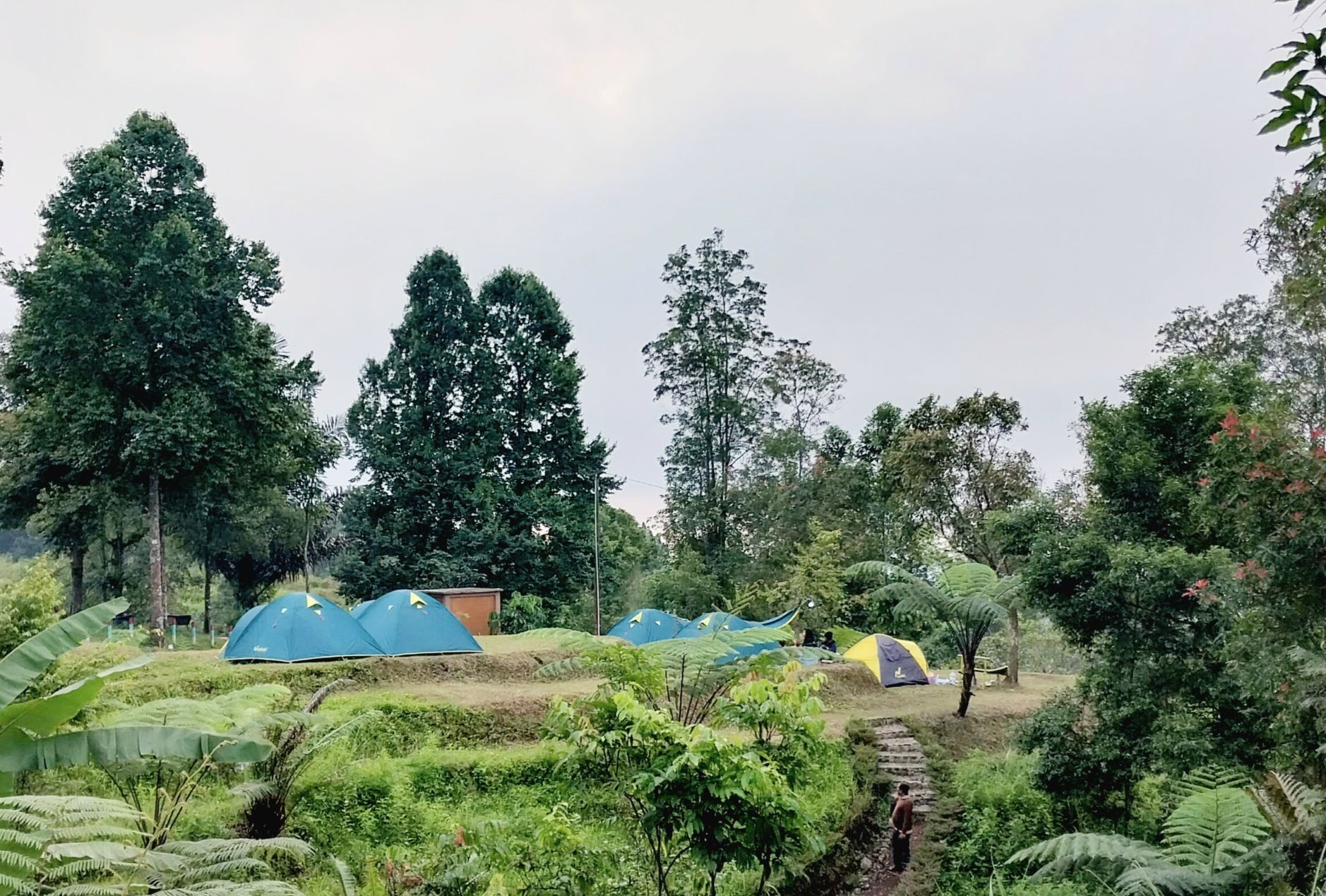 Bukit Teng Tung, Baturraden, tempat camping di Purwokerto, bisa campervan loh.*