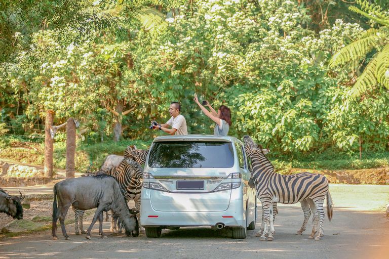 Taman Safari Bogor keluarkan promo dan diskon harga tiket spesial Nataru 2024.