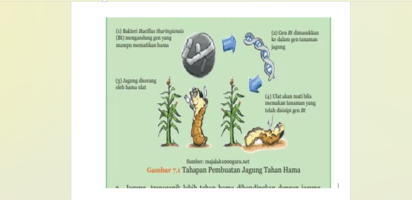 Kunci Jawaban IPA Kelas 9 SMP MTs Halaman 67 Kurikulum Merdeka ...